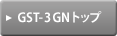 GST-3GN トップ