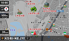 グレースケール表示(特許出願中)