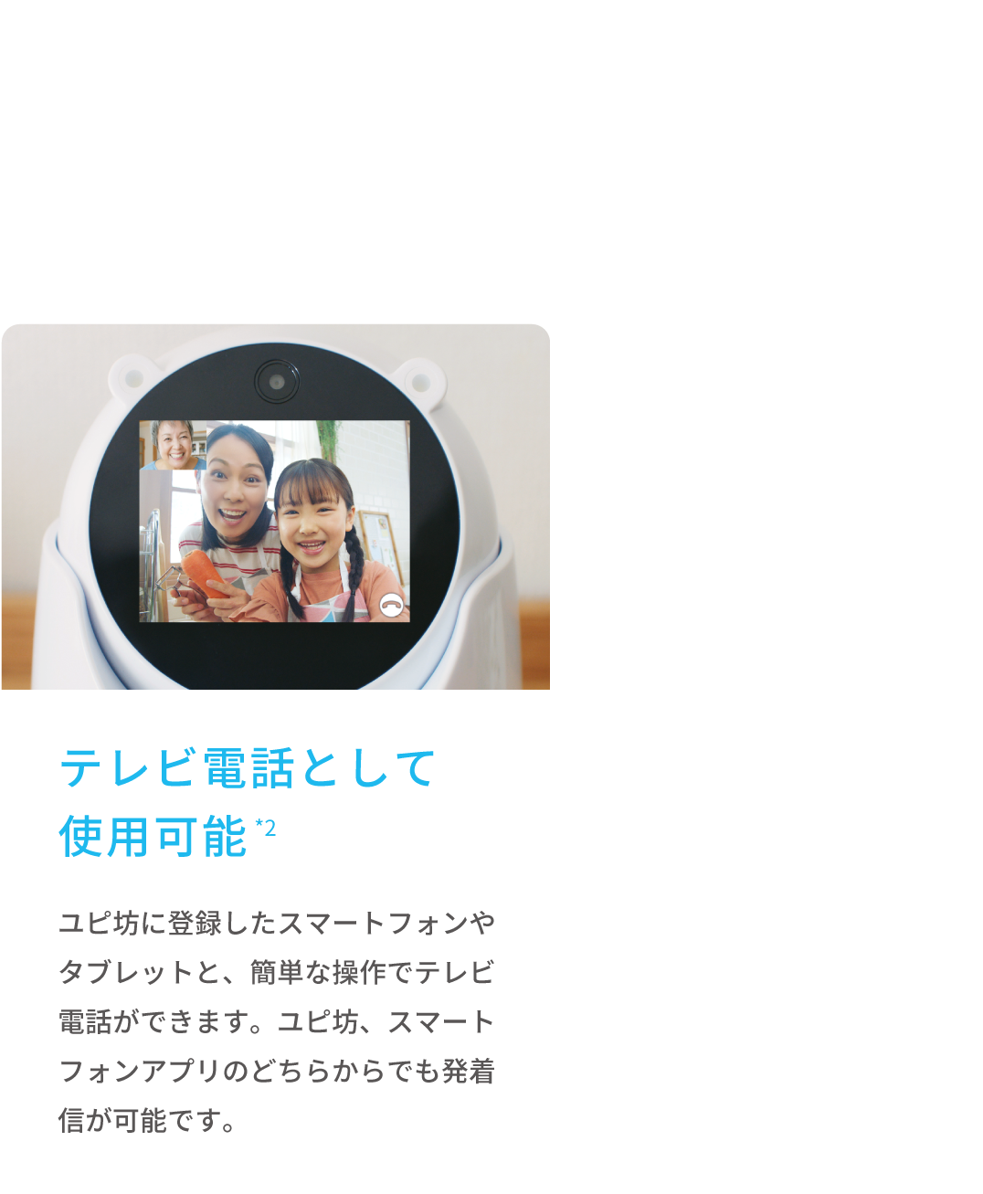 テレビ電話として使用可能