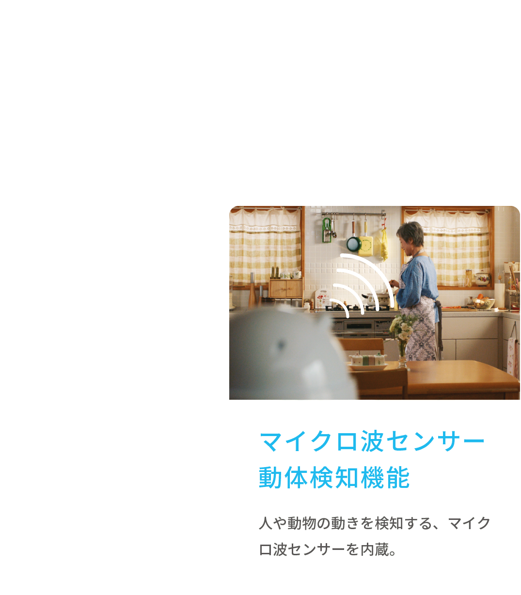 マイクロ波センサー動体検知機能
