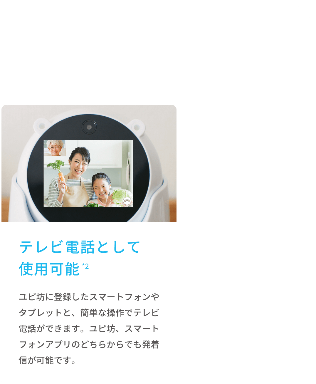 テレビ電話として使用可能